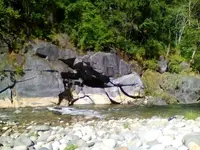 1482463876709.webp
