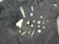 DSCN1330.webp
