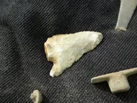 DSCN1331.webp
