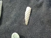 DSCN1333.webp