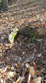 20161210_101833.webp