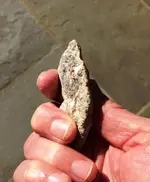 rock4.webp