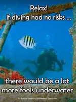 ImageUploadedByTreasureNet.com1482495352.691601.webp