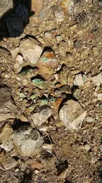 untouched copper.webp