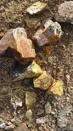 more sulfur.webp