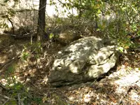 DSCN1657.webp