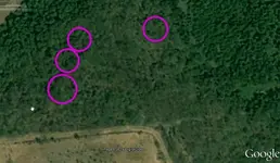 map=Gabriel Maza.webp