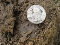 F75DST 5 Silver Coins 008.webp