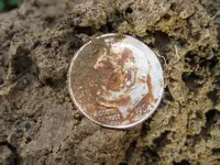 F75DST 5 Silver Coins 015.webp