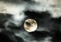 DSCN0354a.webp
