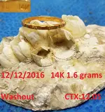 DocBeav 2016 Gold Ring #28.webp DocBeav 2016 Gold Ring #28.webp