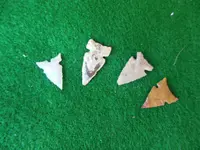DSCN1128.webp