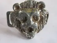 10242016 Lion Head.webp