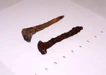2boatnails.webp