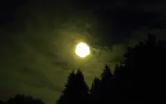 DSCN1296.webp