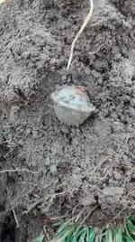 IMG_20161204_140648596.webp
