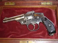 spanish pistol.webp spanish pistol.webp