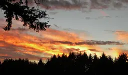 DSCN1472.webp