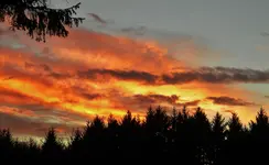 DSCN1473.webp