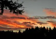 DSCN1475.webp