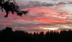 DSCN1484.webp