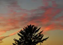 DSCN1477.webp