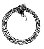 snake.webp snake.webp