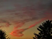 DSCN1482.webp