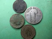 Nov coins.webp
