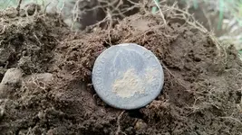 Nov copper 1.webp