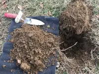 IHC - In the Hole.webp IHC - In the Hole.webp