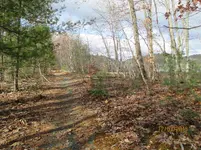 Abandoned road 5.webp