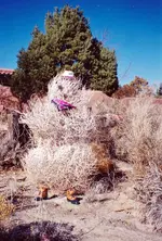 TW Snowman.webp
