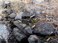 IMG_1297 (2).webp