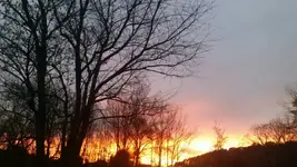 20161105_174955.webp
