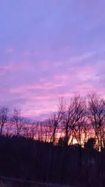 20151122_163444.webp