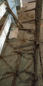 1125161243a~2.webp