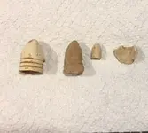 bullets.webp