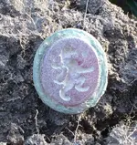 In situ.webp