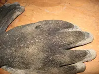 gloves.webp