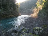 river.webp
