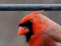 DSCN0817.webp