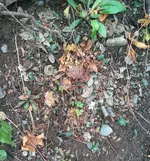 IMG_20161125_1540501~2.webp