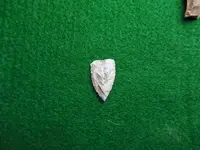 DSCN1319.webp