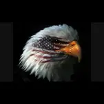 FB_IMG_1478829393163.webp