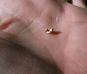 gold nugget on hand 1.jpg