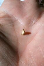 gold nugget on hand 5.jpg