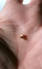 gold nugget on hand 6.webp