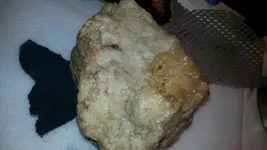 1479168802410.webp