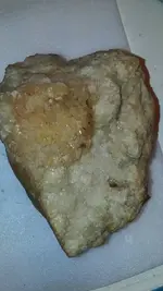 1479168822256.webp